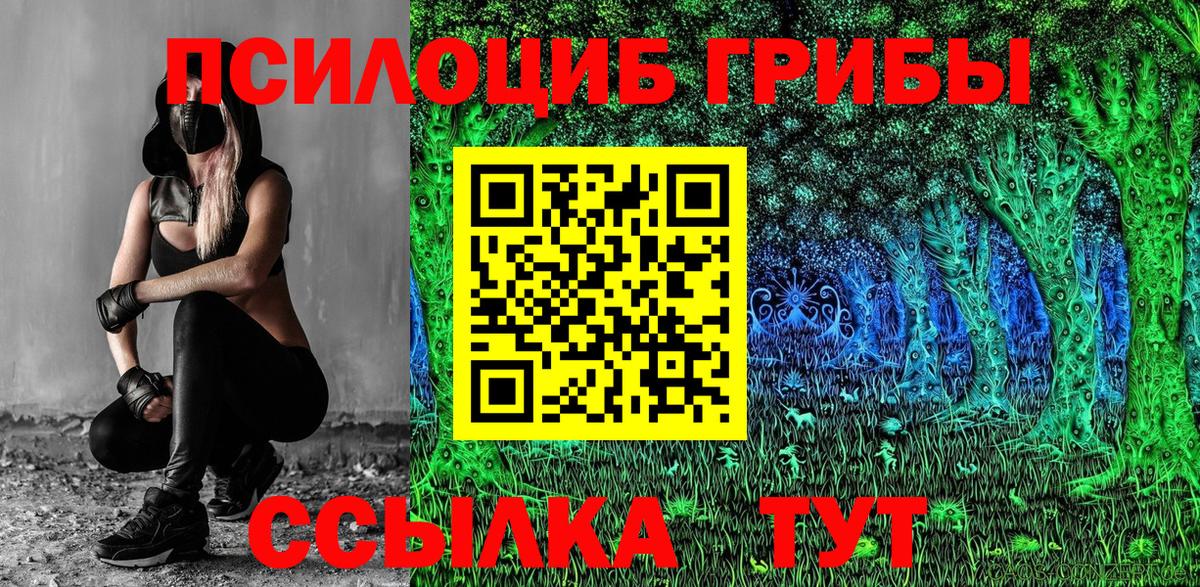 Галлюциногенные грибы Psilocybine cubensis Дедовск